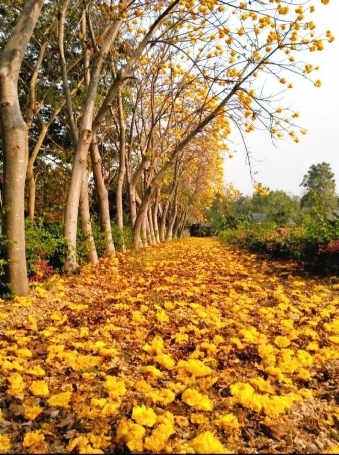 Denchai City Resort เด่นชัยซิตี้ รีสอร์ท Phrae Exterior foto